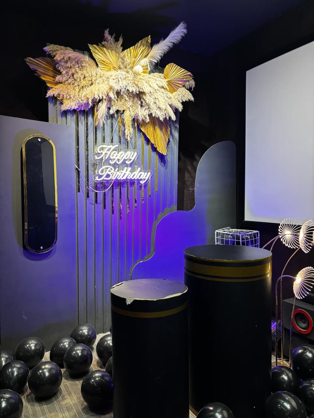 Platinum private theatre at Party Theatre Yusufguda — photo 2